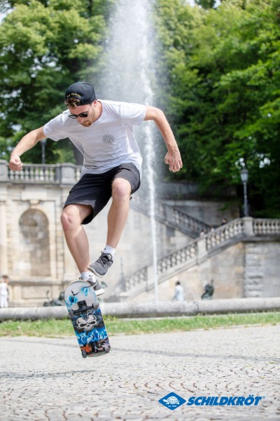 Schildkröt Skateboard Grinder 31''