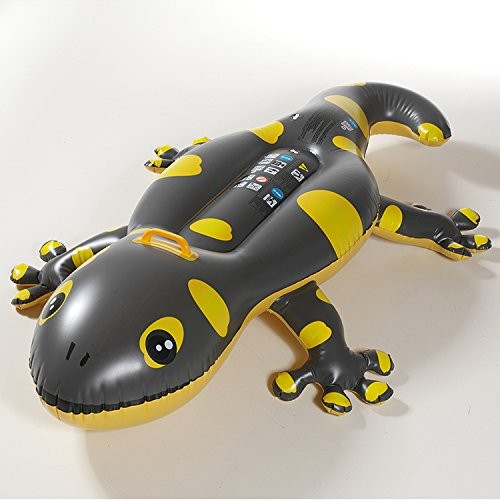Royalbeach Rider Gecko 14678