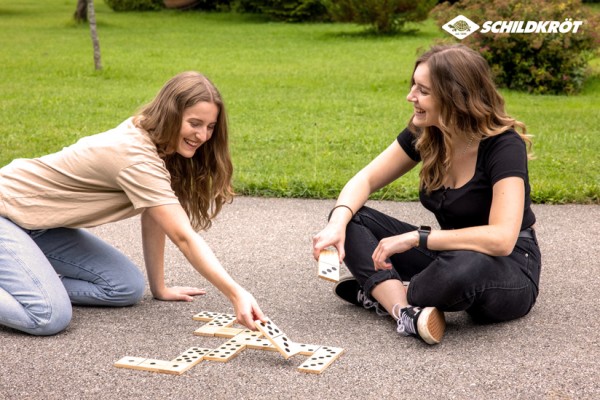 Schildkröt Jumbo Domino Holz